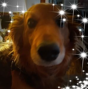 Meet your Posher, Robyn